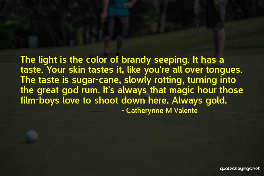 The Magic Hour Quotes By Catherynne M Valente The Magic Hour Quotes By Catherynne M Valente