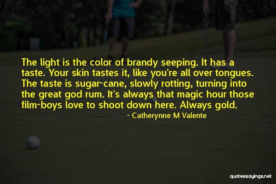 The Magic Hour Quotes By Catherynne M Valente