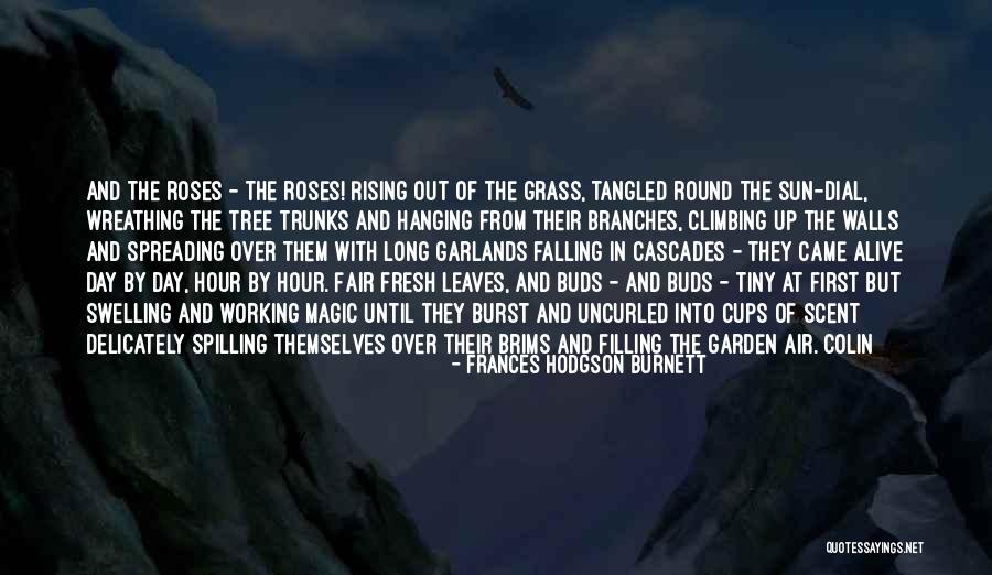 The Magic Hour Quotes By Frances Hodgson Burnett The Magic Hour Quotes By Frances Hodgson Burnett