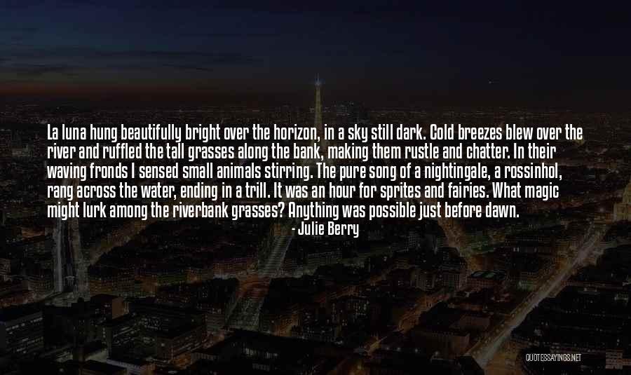 The Magic Hour Quotes By Julie Berry