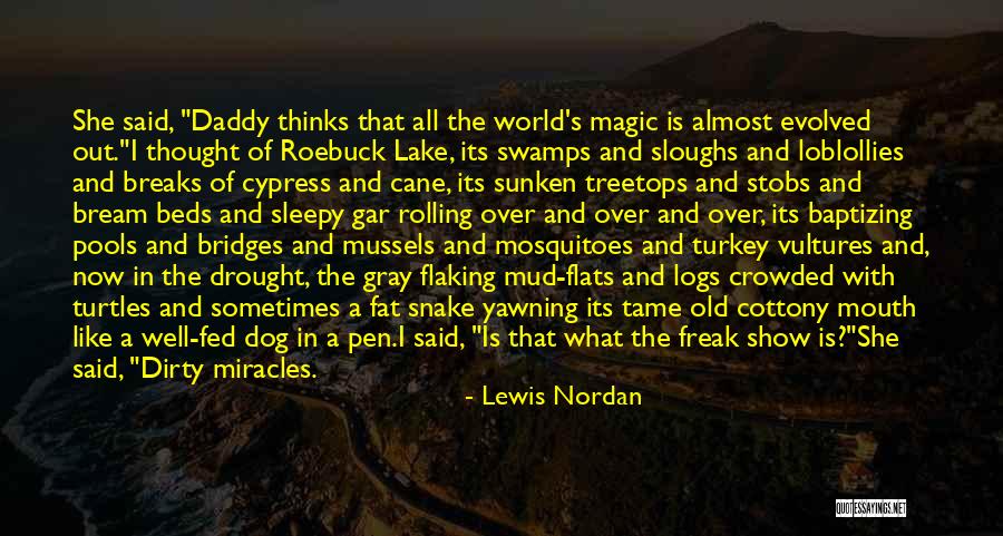 The Magic Of Childhood Quotes By Lewis Nordan