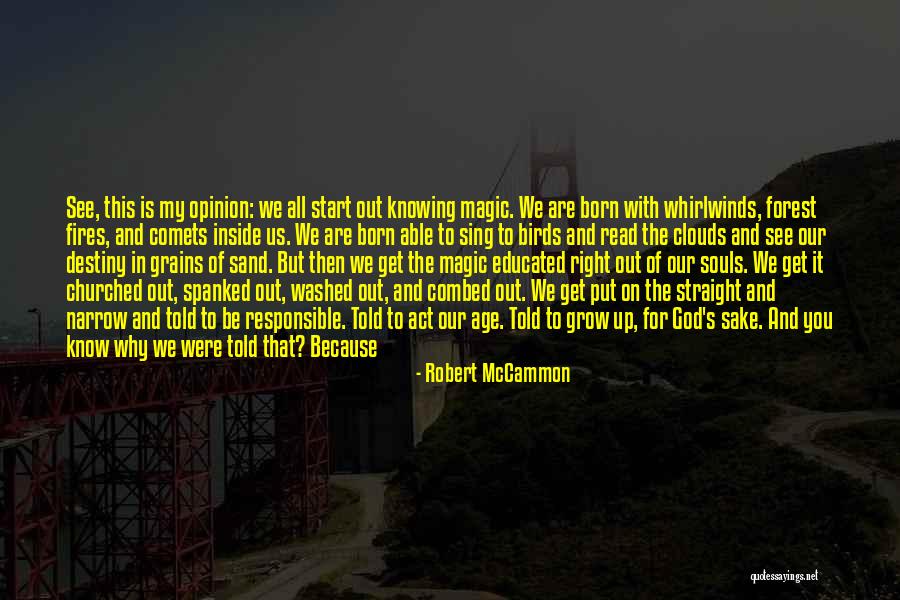 The Magic Of Childhood Quotes By Robert McCammon