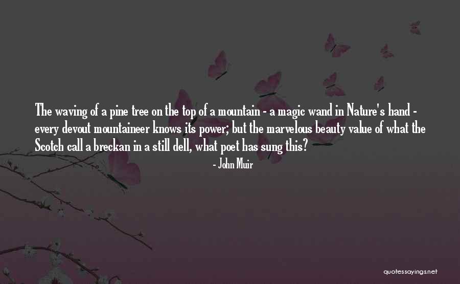 The Magic Of Nature Quotes By John Muir