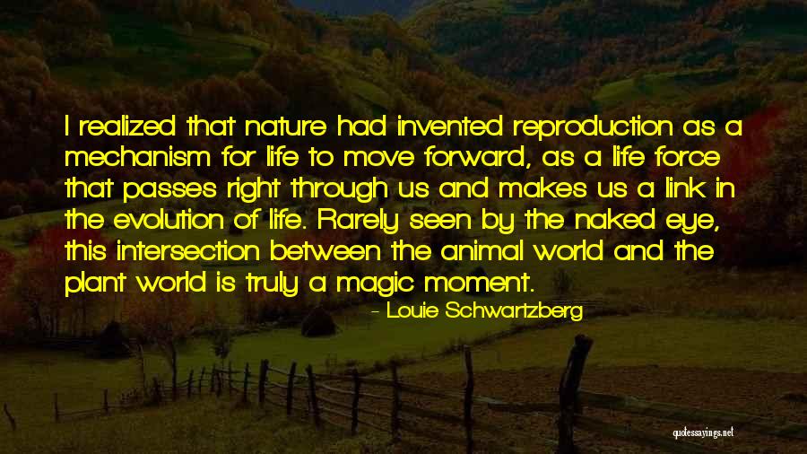 The Magic Of Nature Quotes By Louie Schwartzberg