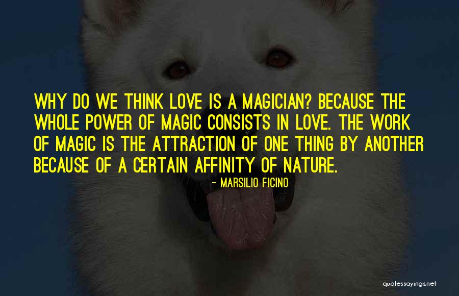 The Magic Of Nature Quotes By Marsilio Ficino