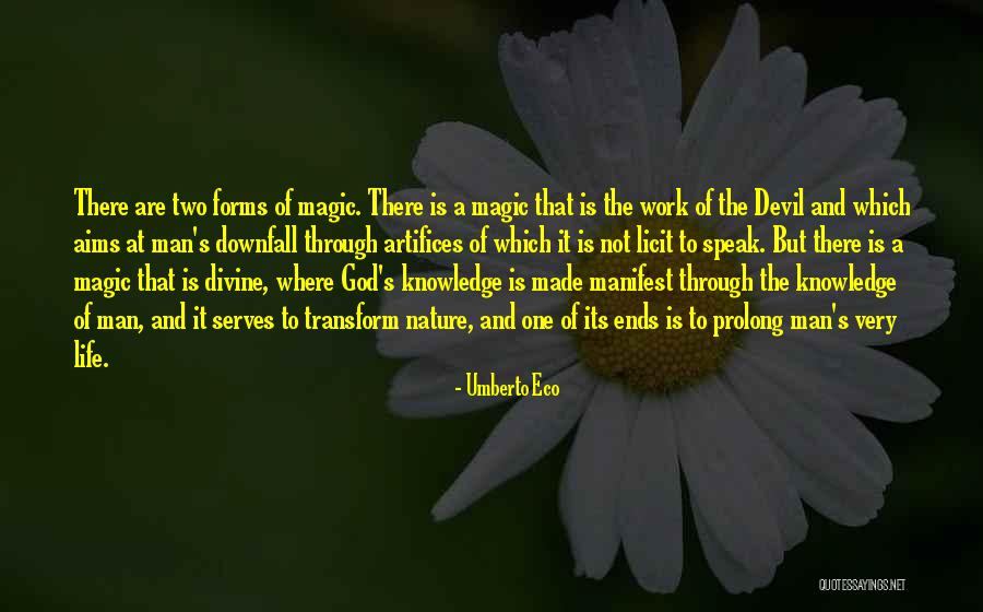The Magic Of Nature Quotes By Umberto Eco The Magic Of Nature Quotes By Umberto Eco