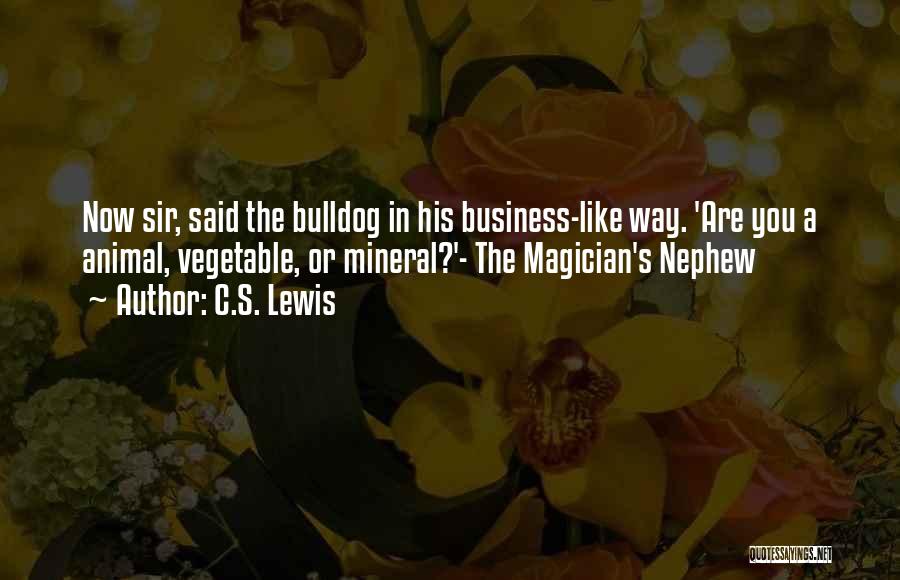 The Magician Nephew Quotes By C.S. Lewis