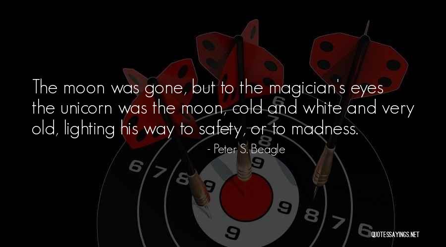 The Magician Quotes By Peter S. Beagle The Magician Quotes By Peter S. Beagle