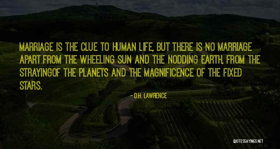 The Magnificence Of Life Quotes By D.H. Lawrence