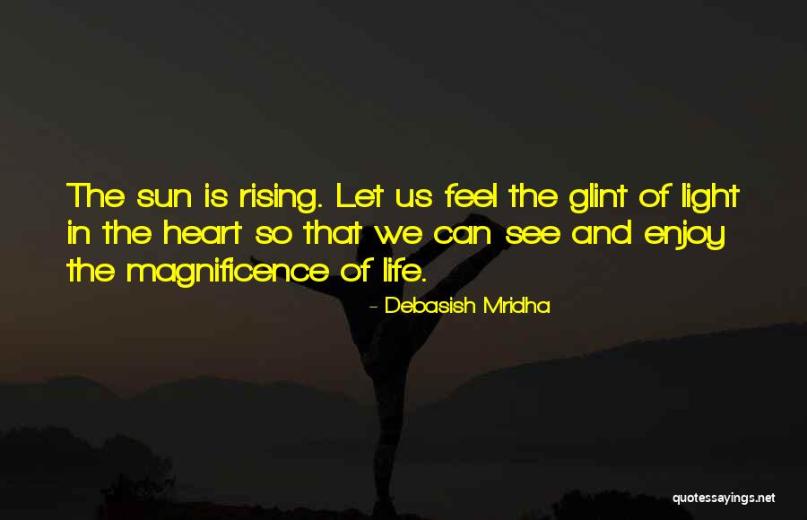 The Magnificence Of Life Quotes By Debasish Mridha