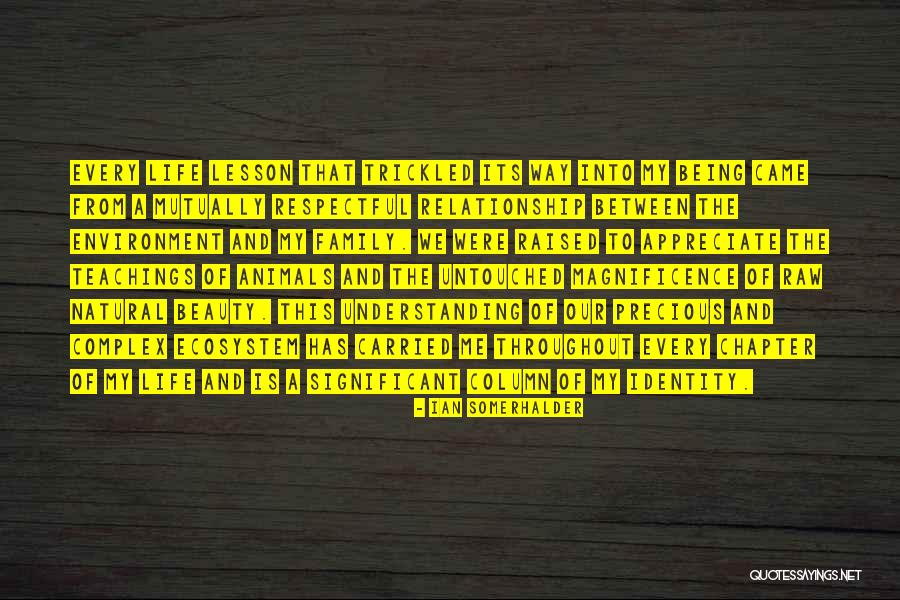 The Magnificence Of Life Quotes By Ian Somerhalder The Magnificence Of Life Quotes By Ian Somerhalder