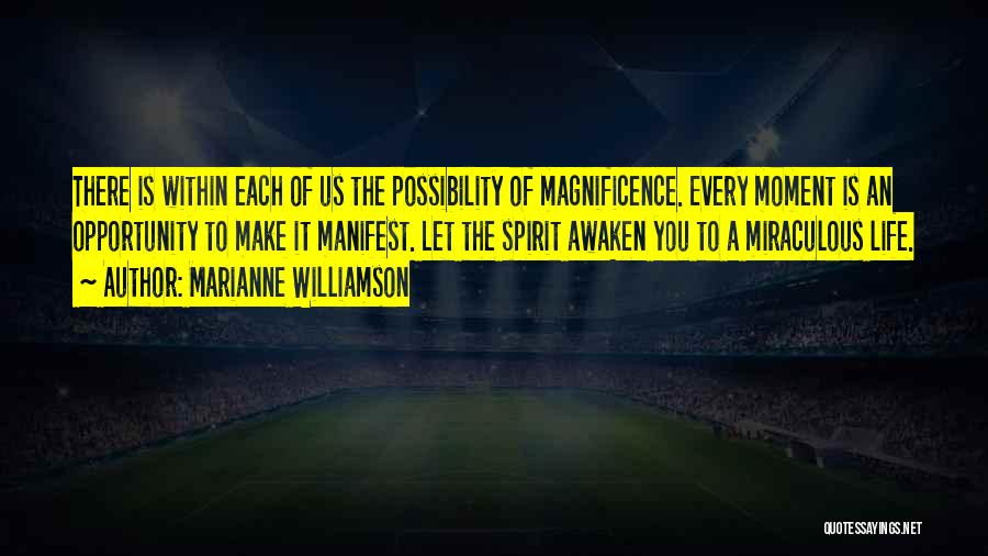 The Magnificence Of Life Quotes By Marianne Williamson