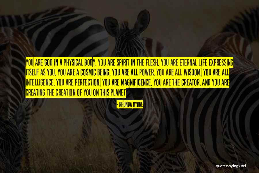 The Magnificence Of Life Quotes By Rhonda Byrne The Magnificence Of Life Quotes By Rhonda Byrne