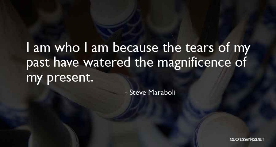 The Magnificence Of Life Quotes By Steve Maraboli The Magnificence Of Life Quotes By Steve Maraboli