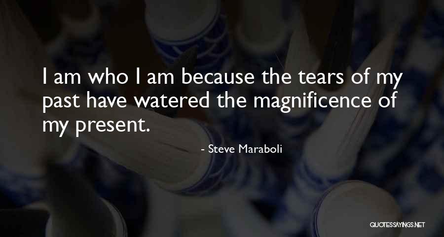 The Magnificence Of Life Quotes By Steve Maraboli