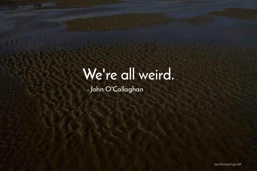 The Maine Music Quotes By John O'Callaghan The Maine Music Quotes By John O'Callaghan