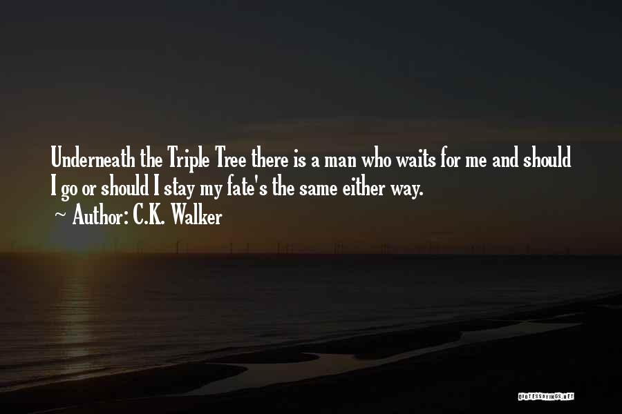 The Man Who Waits Quotes By C.K. Walker