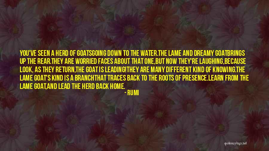 The Many Faces Quotes By Rumi The Many Faces Quotes By Rumi