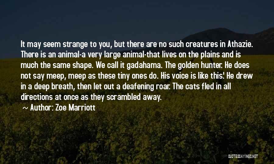 The Marriott Quotes By Zoe Marriott