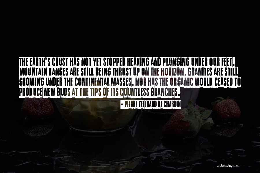 The Masses Quotes By Pierre Teilhard De Chardin The Masses Quotes By Pierre Teilhard De Chardin