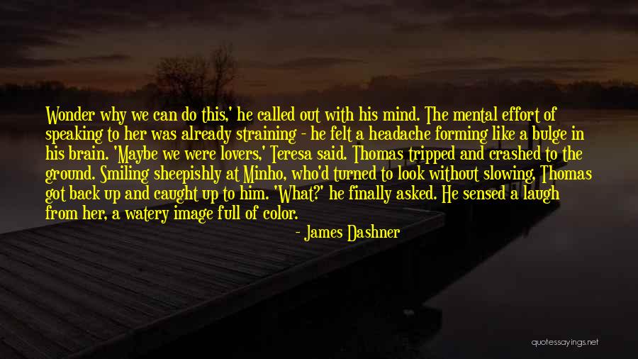 The Maze In The Maze Runner Quotes By James Dashner The Maze In The Maze Runner Quotes By James Dashner