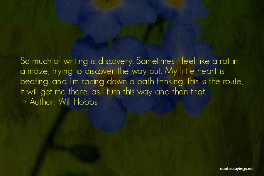 The Maze Will Hobbs Quotes By Will Hobbs