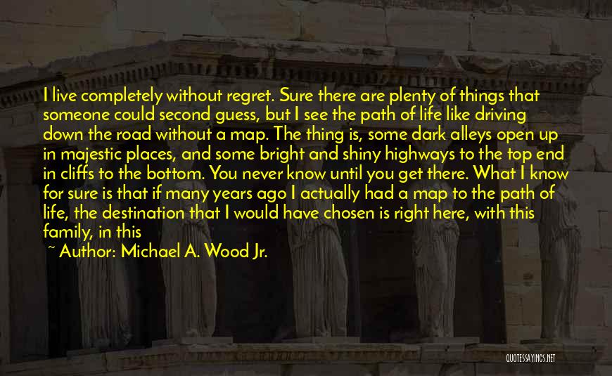The Meaning Of Happiness Quotes By Michael A. Wood Jr.