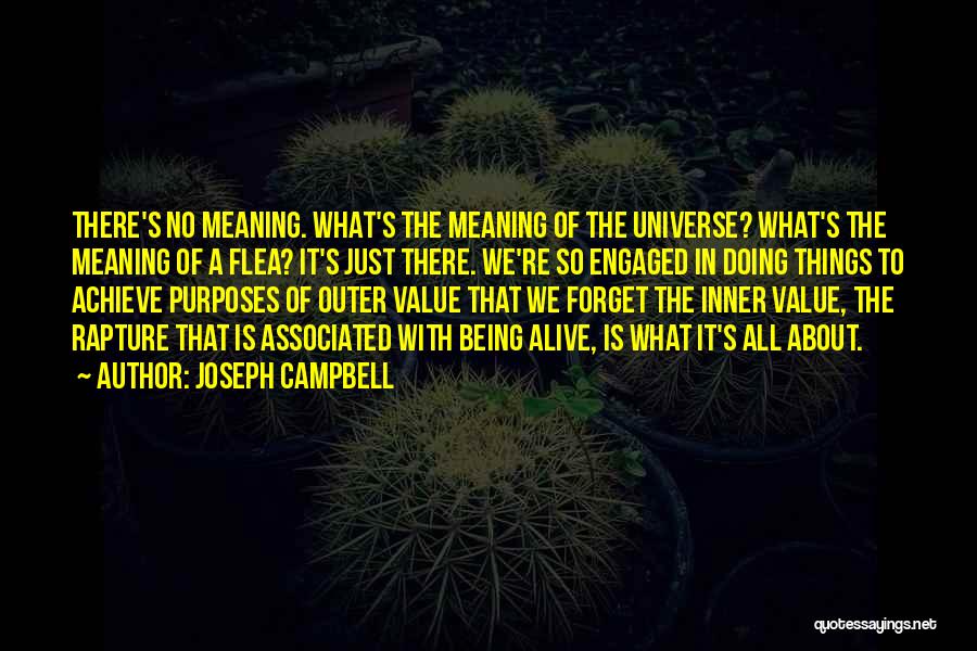 The Meaning Of It All Quotes By Joseph Campbell