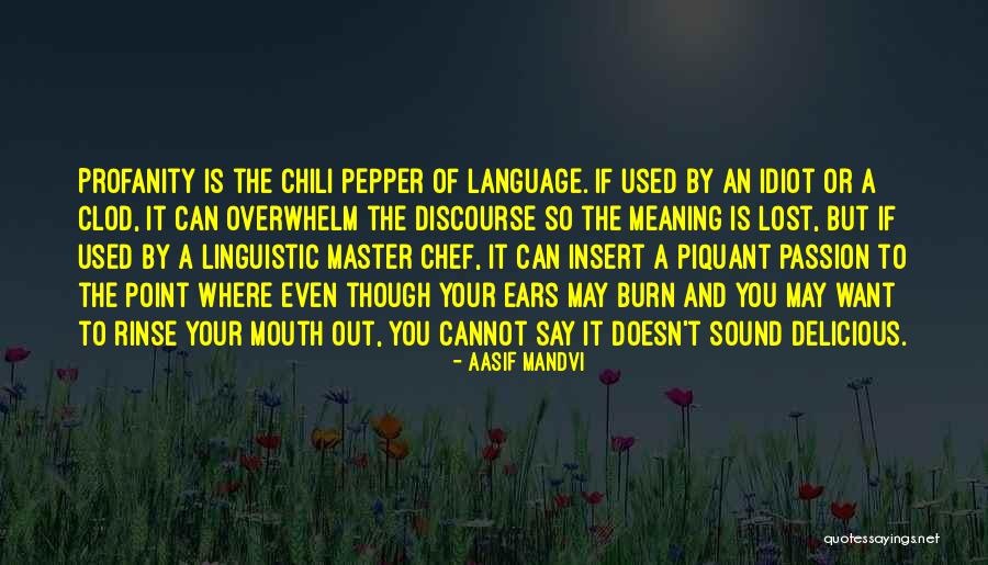 The Meaning Of Language Quotes By Aasif Mandvi The Meaning Of Language Quotes By Aasif Mandvi