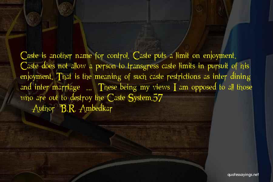The Meaning Of Marriage Quotes By B.R. Ambedkar