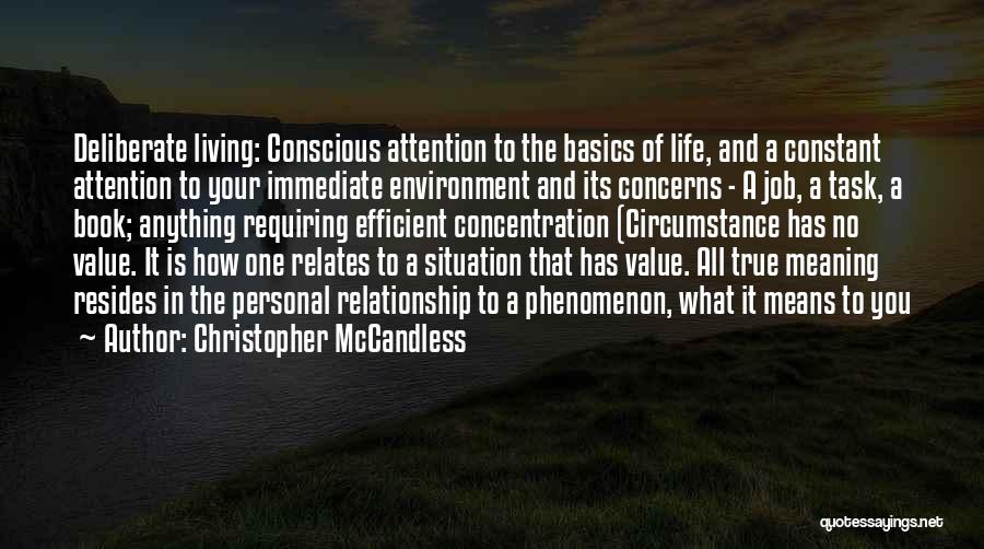 The Meaning Of Relationship Quotes By Christopher McCandless