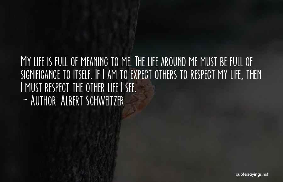 The Meaning Of Respect Quotes By Albert Schweitzer