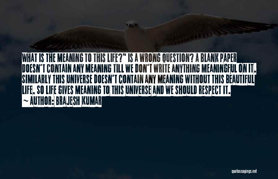 The Meaning Of Respect Quotes By Brajesh Kumar