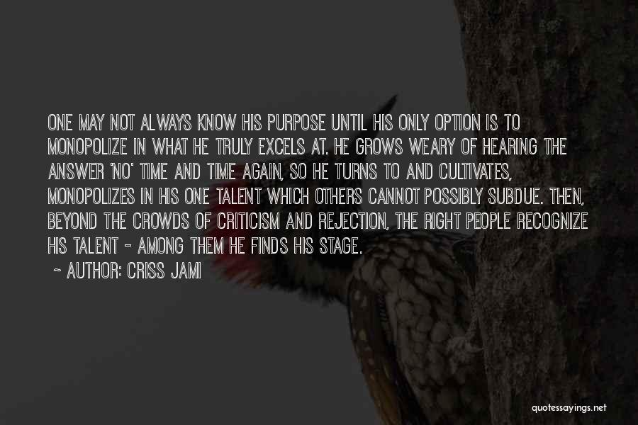 The Meaning Of Success Quotes By Criss Jami