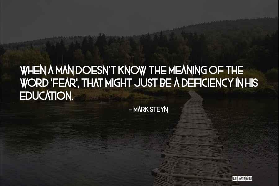The Meaning Of Success Quotes By Mark Steyn The Meaning Of Success Quotes By Mark Steyn