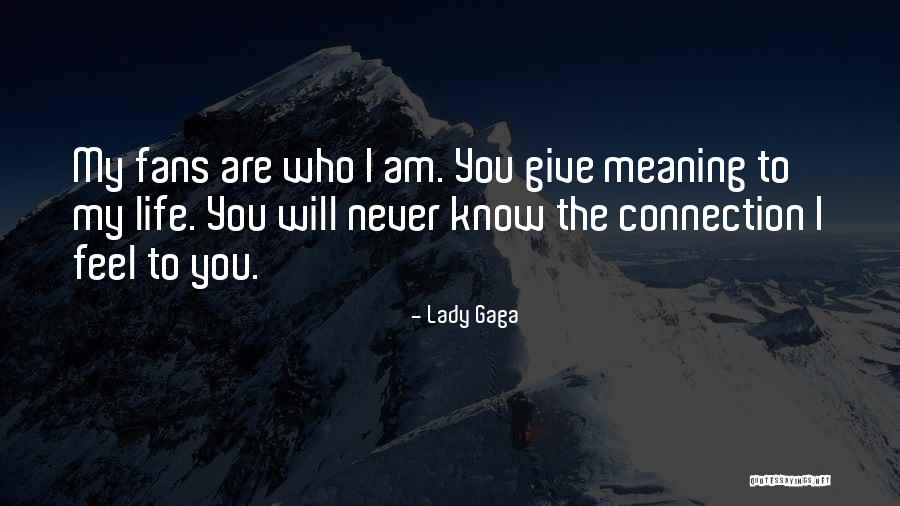 The Meaning Quotes By Lady Gaga