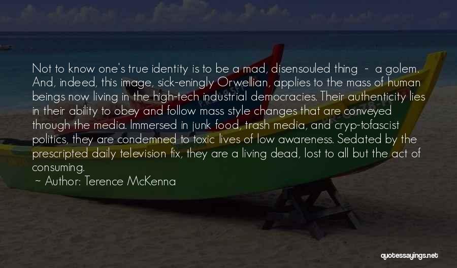 The Media Lies Quotes By Terence McKenna
