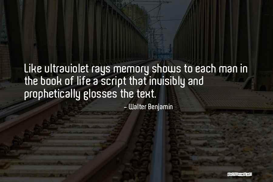 The Memory Book Quotes By Walter Benjamin The Memory Book Quotes By Walter Benjamin