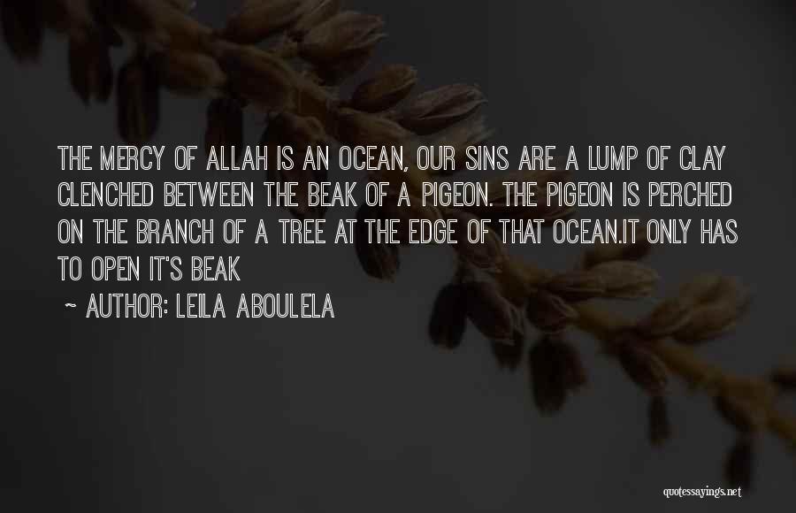 The Mercy Of Allah Quotes By Leila Aboulela