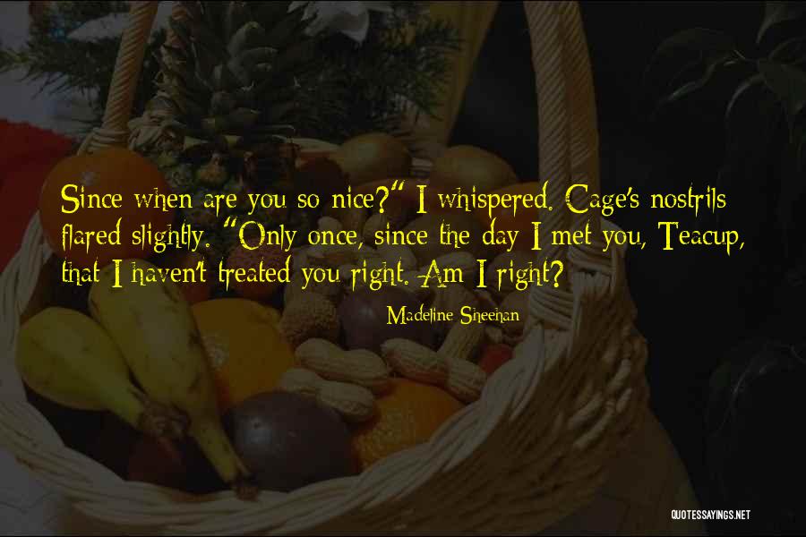 The Met Quotes By Madeline Sheehan The Met Quotes By Madeline Sheehan