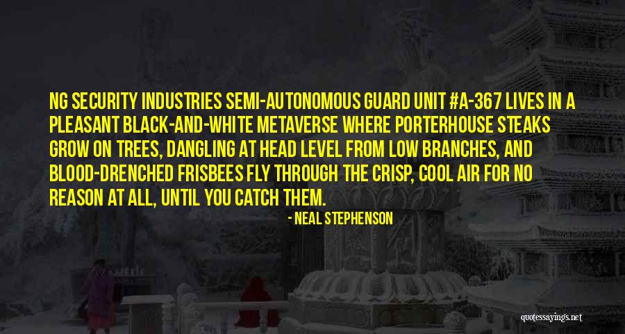 The Metaverse Quotes By Neal Stephenson