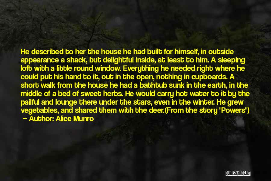 The Middle Of A Story Quotes By Alice Munro