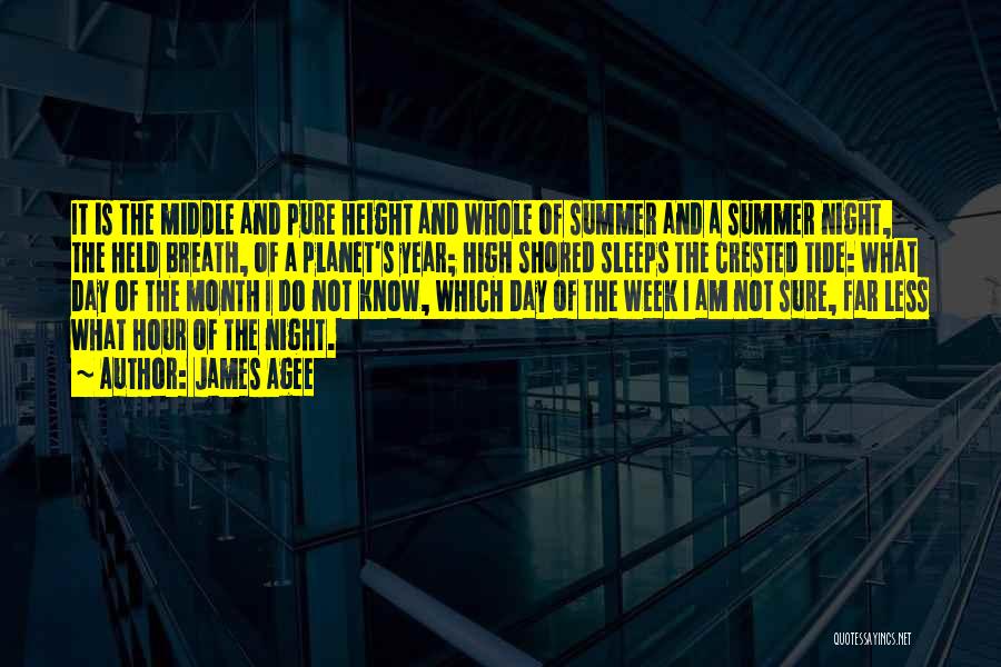 The Middle Of Summer Quotes By James Agee