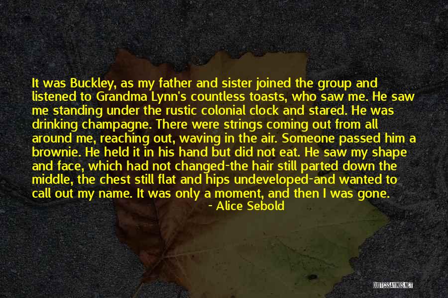 The Middle Sister Quotes By Alice Sebold The Middle Sister Quotes By Alice Sebold