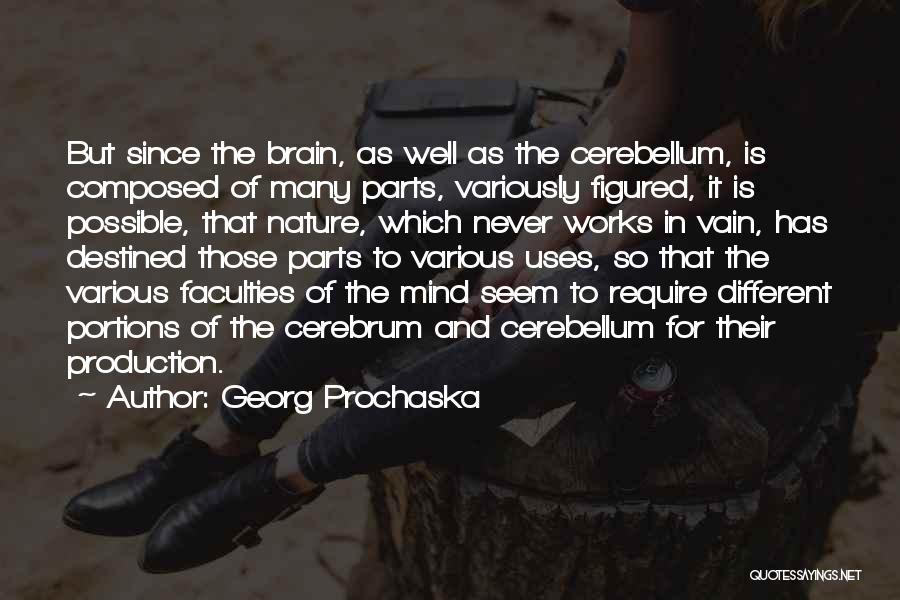 The Mind And Brain Quotes By Georg Prochaska