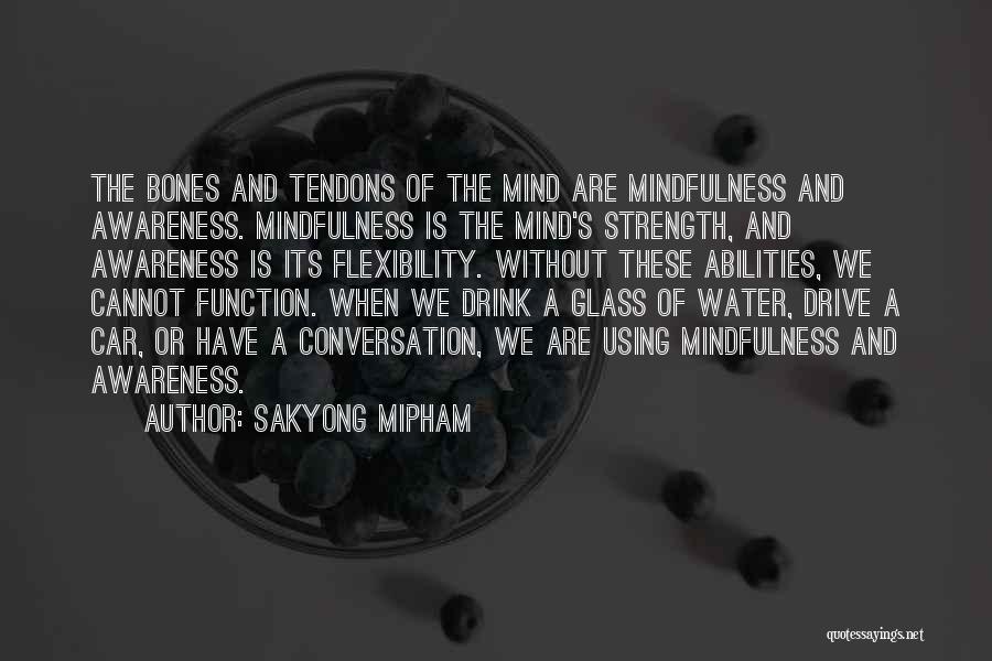 The Mind And Strength Quotes By Sakyong Mipham