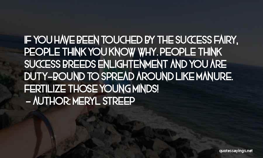 The Mind And Success Quotes By Meryl Streep