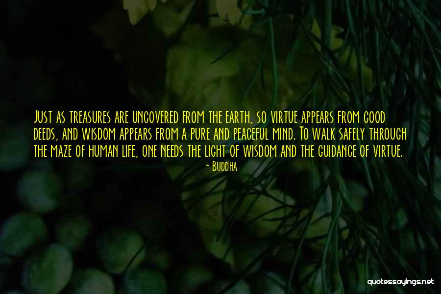 The Mind Buddha Quotes By Buddha The Mind Buddha Quotes By Buddha