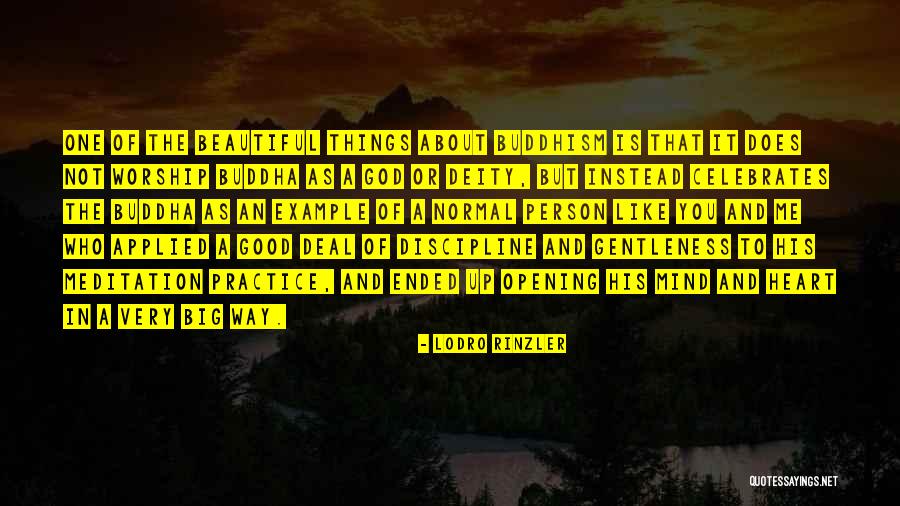 The Mind Buddha Quotes By Lodro Rinzler The Mind Buddha Quotes By Lodro Rinzler