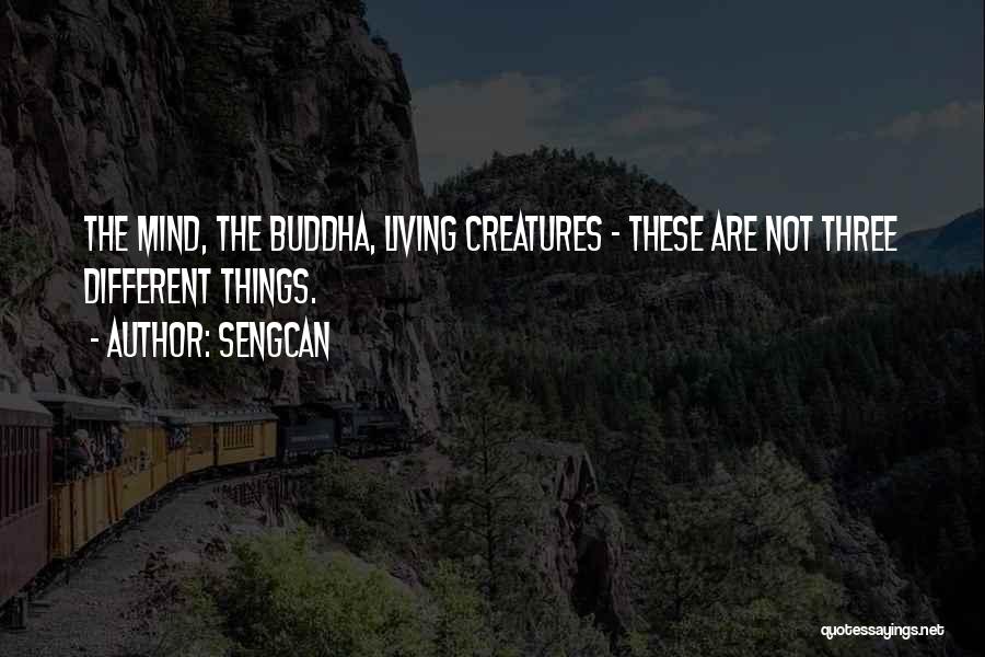 The Mind Buddha Quotes By Sengcan